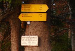 2013-10-26_Schildenstein (397)b.JPG
